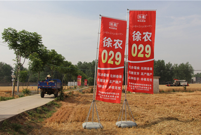 皖墾種業(yè)科企合作項(xiàng)目再創(chuàng)佳績