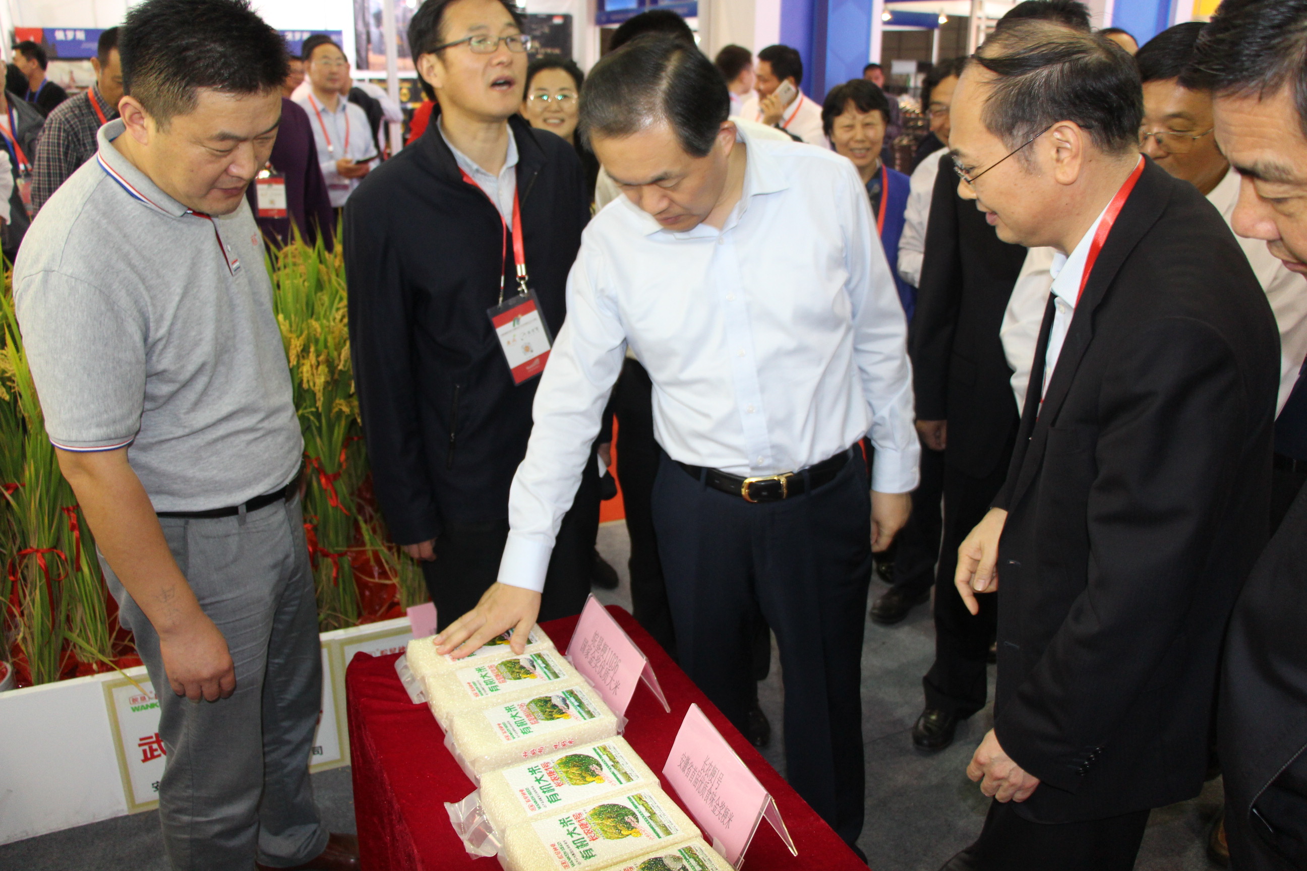 副省長張曙光在安徽農(nóng)墾展館巡館指導(dǎo) 詹先豪、姜三豹陪同