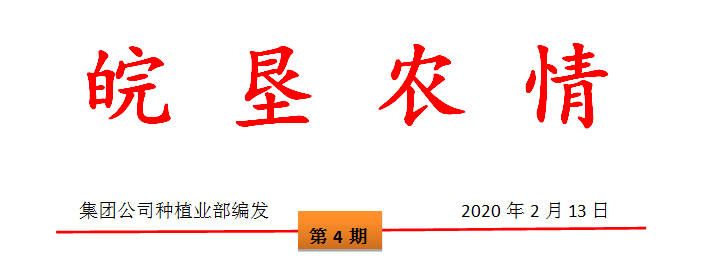 2020年安徽沿淮稻茬小麥春季田間管理技術(shù)指導(dǎo)意見