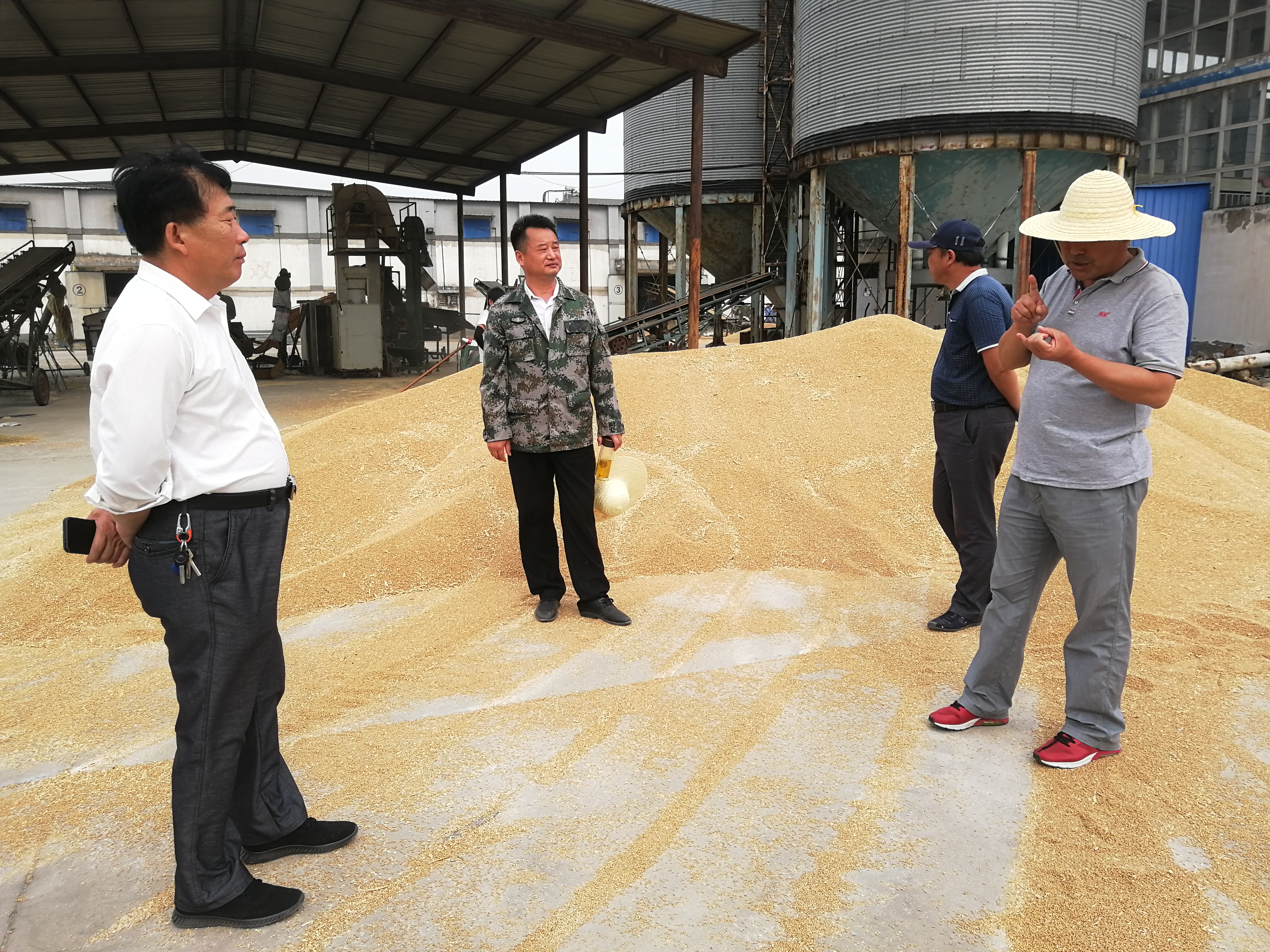 東風湖農(nóng)場公司領(lǐng)導再次來毛集分公司指導午收工作