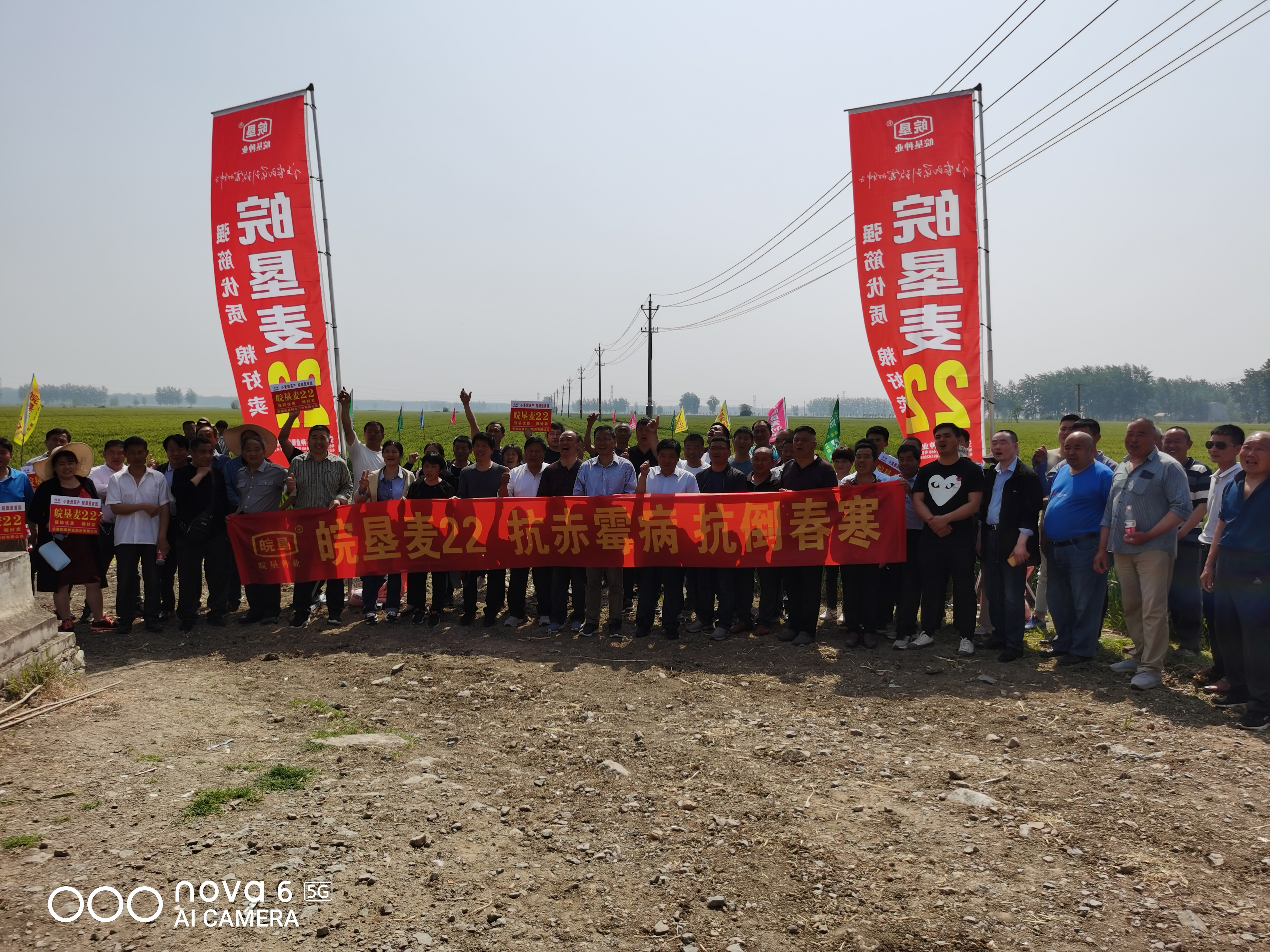 ?以品種促宣傳，以品質(zhì)促發(fā)展 皖墾種業(yè)召開淮麥44、皖墾麥22品種觀摩交流會(huì)