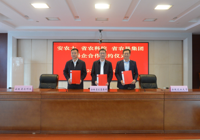 安徽省農(nóng)墾集團(tuán)與安徽農(nóng)業(yè)大學(xué)、安徽省農(nóng)科院簽署戰(zhàn)略合作協(xié)議