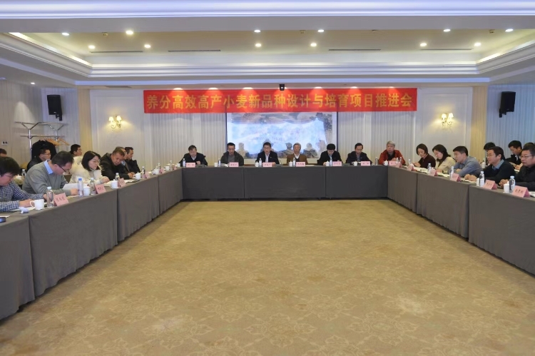 農(nóng)墾集團黨委副書記、總經(jīng)理張其廣出席皖墾種業(yè)小麥生物育種重大項目啟動會